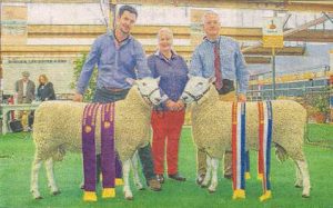 Champion & Reserve Grand Champion Border Leicester Rams, 2016 Royal Adelaide Show